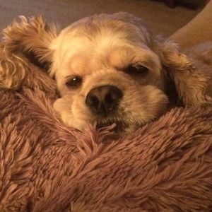 Meet your Posher, Kathy